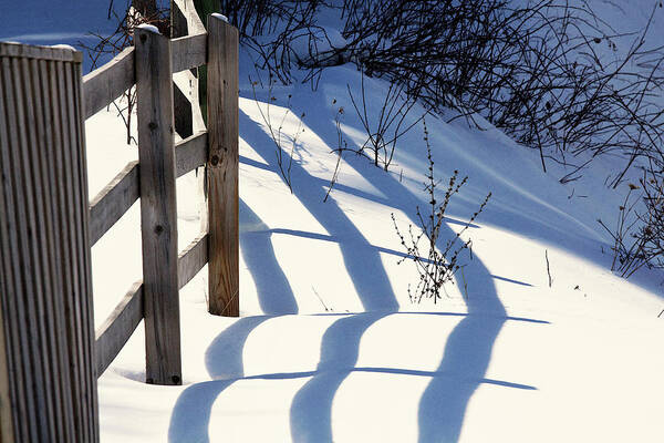 Snow Art Print featuring the photograph Snow, Sun and Shadows by Tatiana Travelways