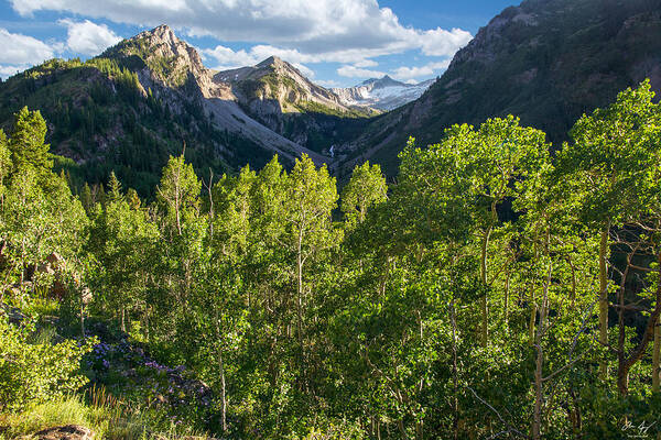 Snowmass Art Print featuring the photograph Snowmass Afternoon by Aaron Spong