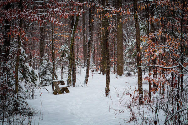 Fine Art Art Print featuring the photograph Snowy bench by David Heilman