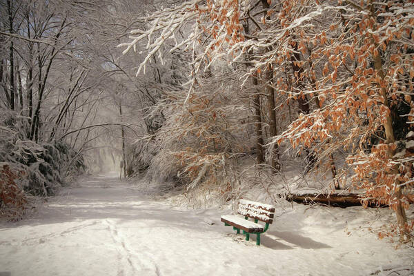 Winter Art Print featuring the photograph Snowy Bench by Lori Deiter