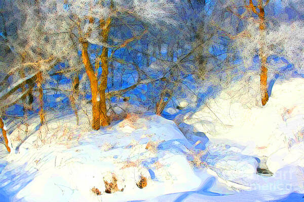 Snow Art Print featuring the photograph Snowy Creek by Julie Lueders 
