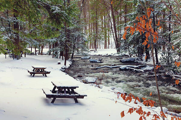 Snow Art Print featuring the photograph Snowy Picnic by April Reppucci