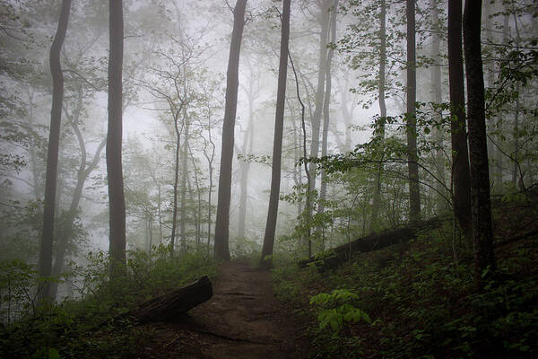 Landscape Photography Art Print featuring the photograph So Foggy by Ben Shields