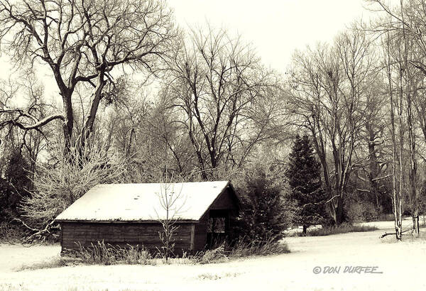 Landscape Art Print featuring the photograph Soft Snow Cover by Don Durfee