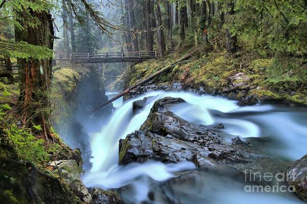 Sol Duc Art Print featuring the photograph Sol Duc Canyon Bridge by Adam Jewell