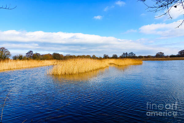 Landscape Art Print featuring the photograph Somerset levels by Colin Rayner