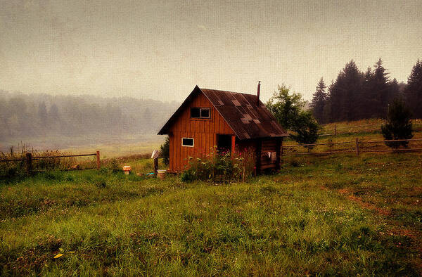 Russia Art Print featuring the photograph Somewhere in the Countryside. Russia by Jenny Rainbow