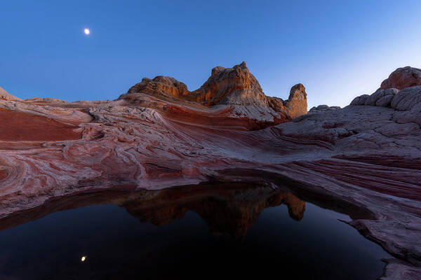 White Pocket Art Print featuring the photograph Song of the Desert by Dustin LeFevre