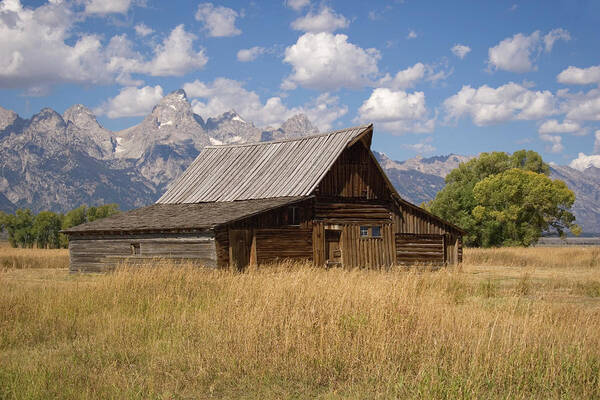 South Art Print featuring the photograph South Barn by Reva Dow