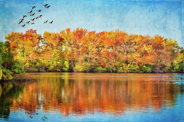 Autumn Art Print featuring the photograph Southbound by Cathy Kovarik