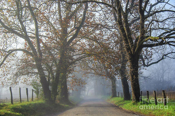 Sparks Lane Art Print featuring the photograph Sparks Lane Early Morning by Jennifer Ludlum