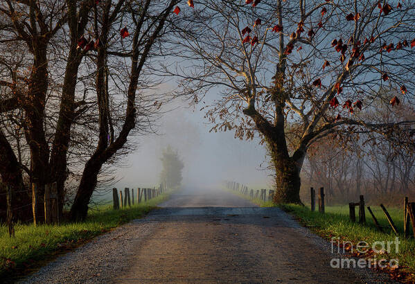Sparks Art Print featuring the photograph Sparks Lane, Oct 2017 by Douglas Stucky