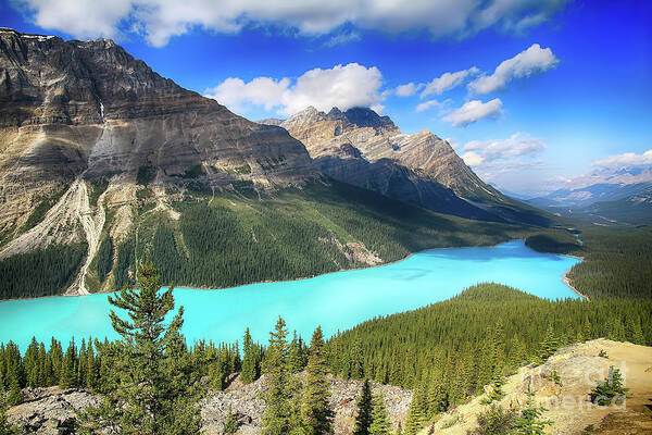 Peyto Lake Art Print featuring the photograph Spectacular Peyto Lake by Teresa Zieba