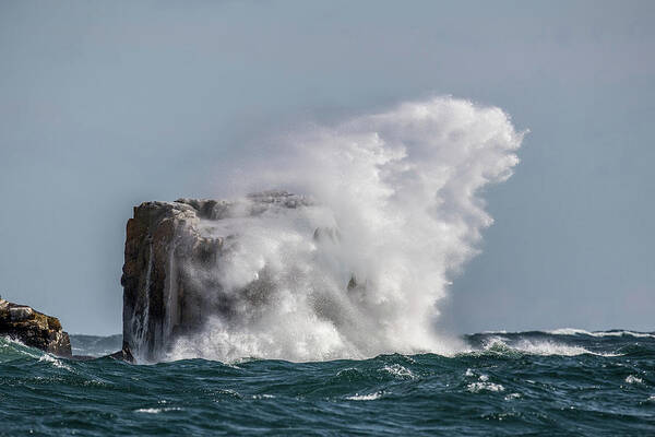  Art Print featuring the photograph Splash by Paul Freidlund