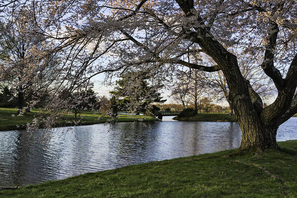 Landscape Art Print featuring the photograph Spring at Dawes Arboretum by Roberta Kayne