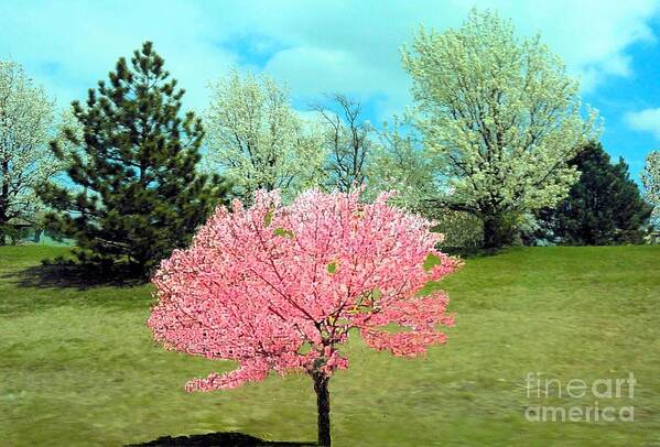 Spring Art Print featuring the photograph Spring Has Sprung and Winter's Done by Janette Boyd