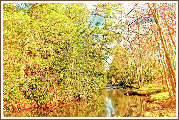 Spring Art Print featuring the photograph Spring Morning, Pocono Mountain Stream by A Macarthur Gurmankin