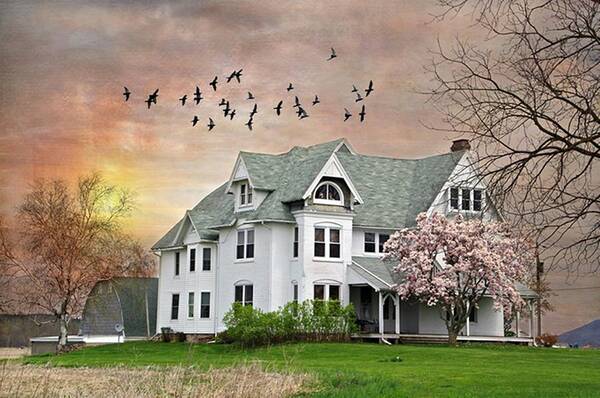 White House Art Print featuring the photograph Spring Pinks by Stephanie Calhoun