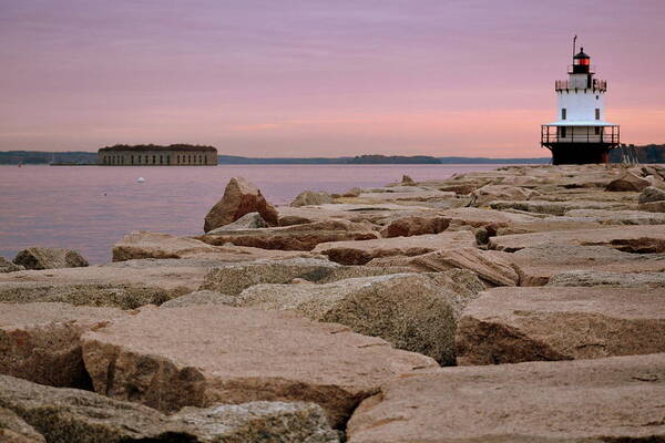 Spring Point Ledge Lighthouse Art Print featuring the photograph Spring Point and Fort Gorges by Colleen Phaedra