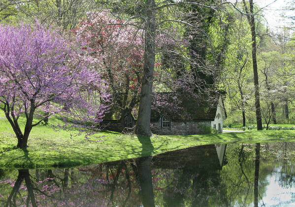 Art Art Print featuring the photograph Spring Reflections by Gordon Beck