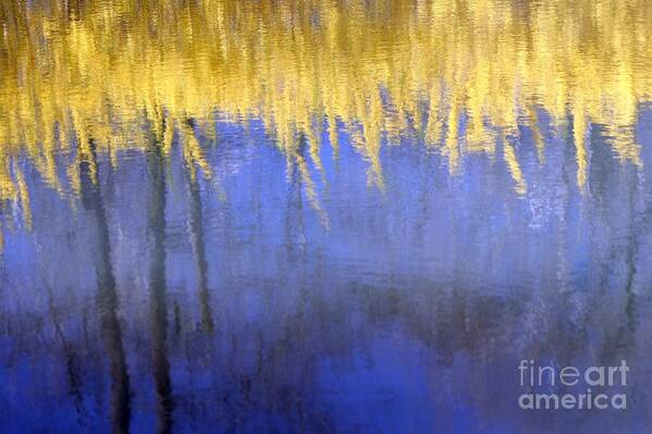 Water Art Print featuring the photograph Spring Reflections by Living Color Photography Lorraine Lynch