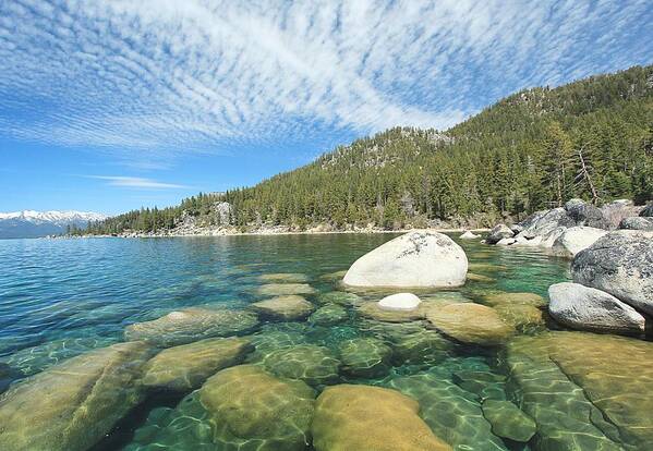Lake Tahoe Art Print featuring the photograph Spring Shores by Sean Sarsfield