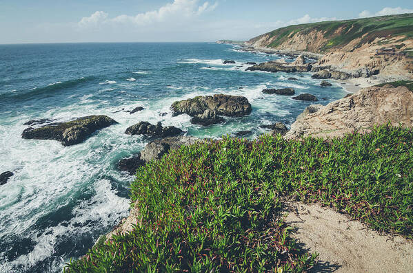 Landscape Art Print featuring the photograph Springtime at Bodega Head by Margaret Pitcher