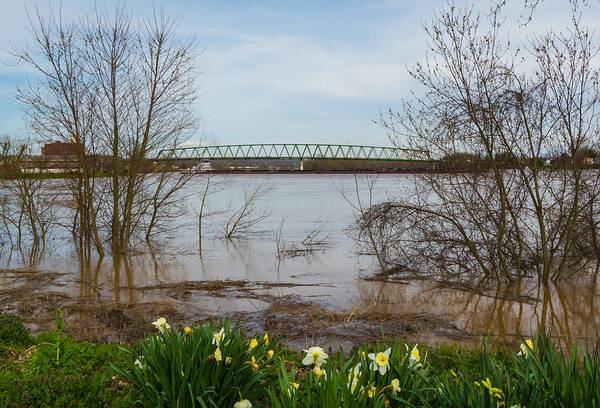 Marietta Art Print featuring the photograph Springtime Flooding by Holden The Moment