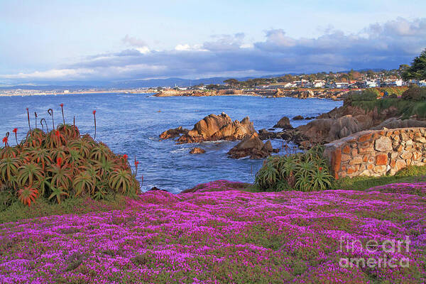 Pink Art Print featuring the photograph Springtime in Pacific Grove by Charlene Mitchell