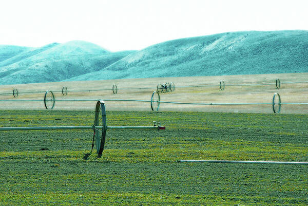 Landscape Art Print featuring the photograph Sprinkler - Eastern WA by Brian O'Kelly