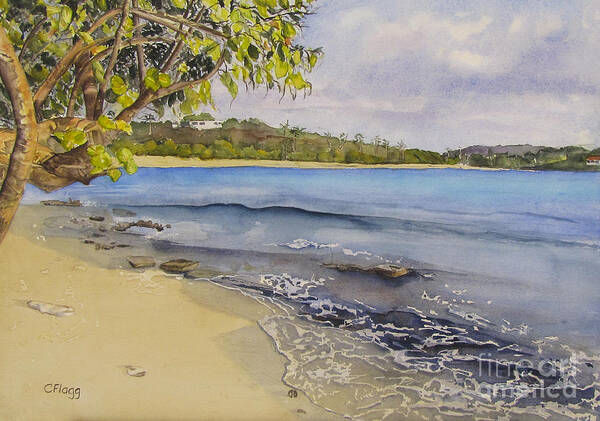 Watercolor Painting Art Print featuring the painting St Thomas Beach by Carol Flagg