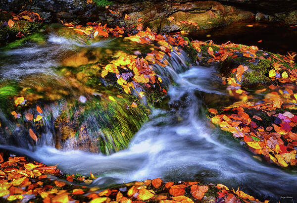 Waterfall Art Print featuring the photograph Standing In Motion - Leaves On A Rock 007 by George Bostian