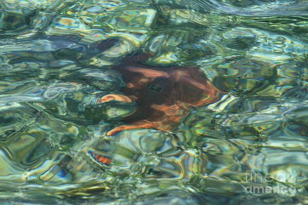 Water Art Print featuring the photograph Starfish Abstract by Edward R Wisell