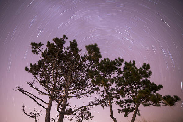 Stars Art Print featuring the photograph Starry Vortex Long Exposure over Wingaersheek Beach Gloucester MA by Toby McGuire