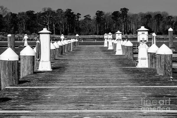 Pier Art Print featuring the photograph Stay Between the Lines BW by Amy Sorvillo