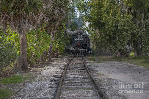 Train Art Print featuring the photograph Steaming Down the Tracks by Dale Powell