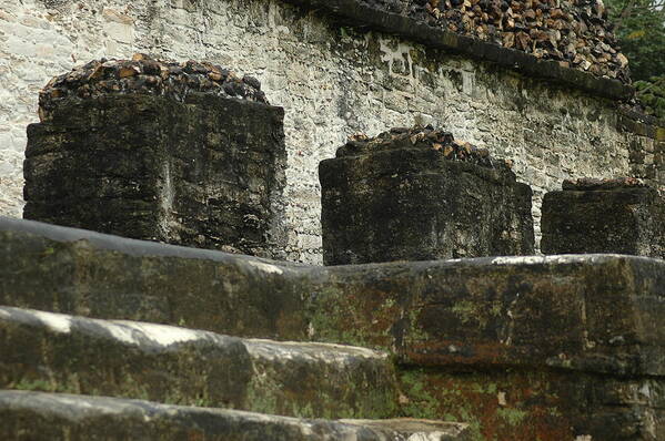 Mayan Ruins Art Print featuring the photograph Step To Sacrifice 2 by Lori Mellen-Pagliaro