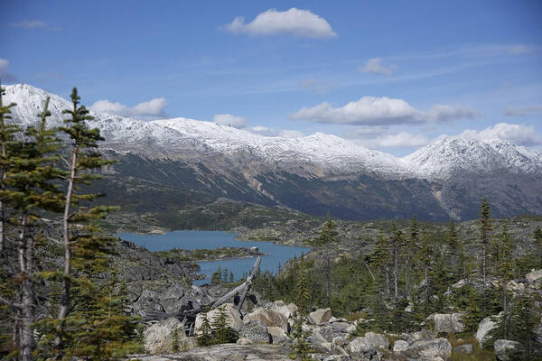 Stikine Mountains Art Print featuring the photograph Stikine Mountains 14 by Richard J Cassato