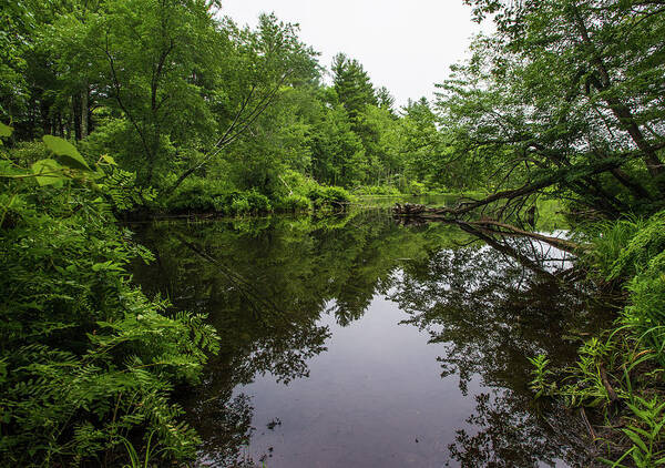 River Art Print featuring the photograph Stillwater by Robert McKay Jones