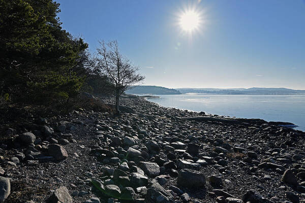 Sweden Art Print featuring the pyrography Stone beach by Magnus Haellquist