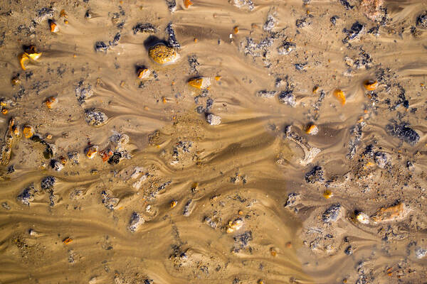 Stones In Water Art Print featuring the photograph Stones in a Mud Water Wash by John Williams