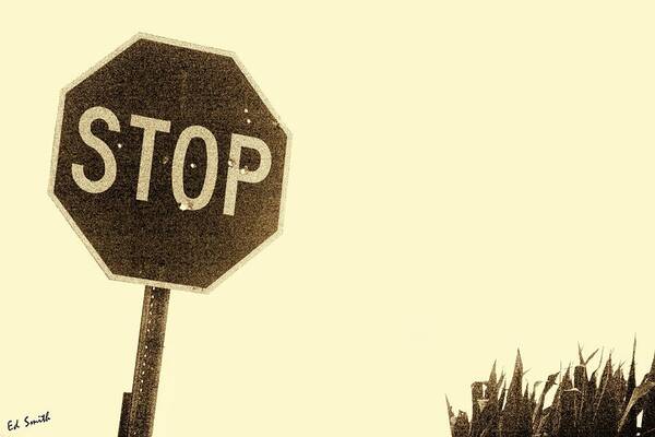 Stop Shooting Stop Signs Art Print featuring the photograph Stop Shooting Stop Signs by Edward Smith