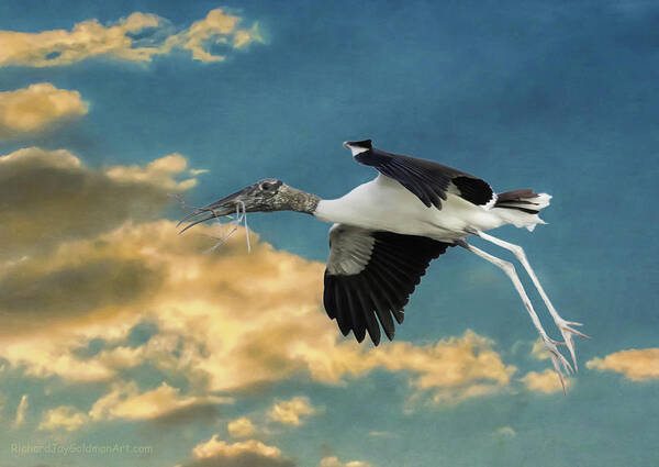Stork Art Print featuring the photograph Stork Bringing Nesting Material by Richard Goldman