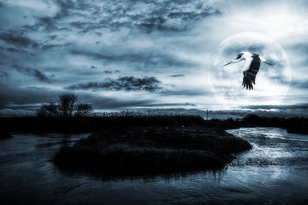  Nature Art Print featuring the photograph Stork in Moonlight by Jaroslaw Grudzinski