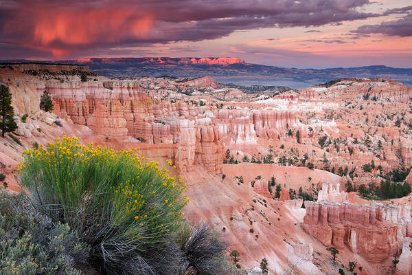 Utah Art Print featuring the photograph Storm over Bryce Canyon by Eric Foltz