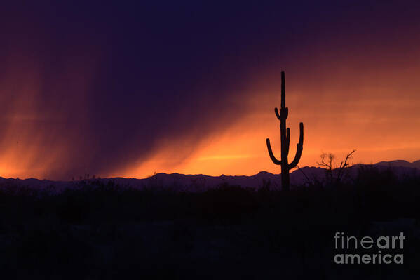 Storm Art Print featuring the photograph Storms brew in Scottsdale by Ruth Jolly