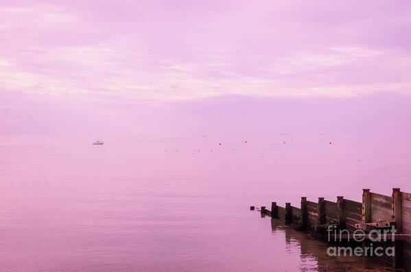Strawberry Art Print featuring the photograph Strawberry Sunset, Whitstable by Perry Rodriguez