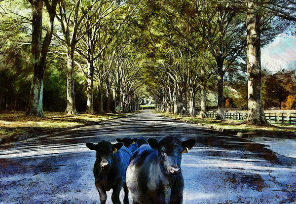 Laneway Art Print featuring the digital art Street Cows by JGracey Stinson