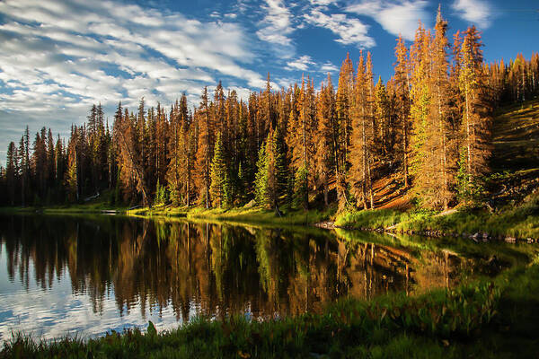 Colorado Mountain Trail Art Print featuring the photograph Stunning Sunrise by Doug Scrima