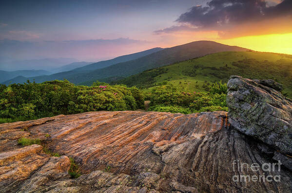 Summer Art Print featuring the photograph Summer along the Appalachian Trail by Anthony Heflin